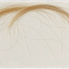 Lock of hair of Allegra Byron