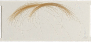 Lock of hair of Allegra Byron