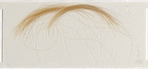 Lock of hair of Allegra Byron