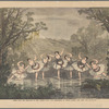 Scene from the spectacle of the White fawn, now performing at Niblo's Garden, New York City