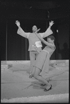 Don't Bother Me, I Can't Cope, original Broadway production