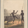 The dance