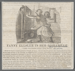 Fanny Ellsler [sic] in her dishabille: fine feathers make fine birds