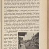 Bungalow magazine