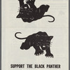 Support the Black Panther Support SNCC poster