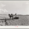 Mr. Crowell, tenant purchase client, with his hay rake. Near Isola, Mississippi Delta