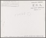 The Titus Oakley family stripping, tying and grading tobacco in their bedroom. Shoofly, Granville County, North Carolina. See subregional notes. November 16, 1939