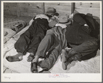 Farmers sleeping in white camp room in warehouse. They often must remain overnight or several days before their tobacco is auctioned. Durham, North Carolina