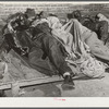 Farmers sleeping in [Black] camp room in warehouse. They often must remain overnight or several days before their tobacco is auctioned. Durham, North Carolina