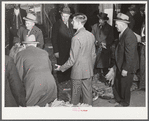 The son of an older tobacco auctioneer relieves his father at the end of the row during sale. Mebane, Orange County, North Carolina
