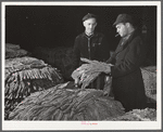 Tobacco warehouseman examining farmer's tobacco before auction sale. Durham, North Carolina