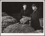 Tobacco warehouseman examining farmer's tobacco before auction sale. Durham, North Carolina