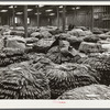 Baskets of tobacco on warehouse floor before auction sale. Durham, North Carolina