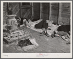 Farmers sleeping in white camp room in warehouse. They often must remain overnight or several days before their tobacco is auctioned. Durham, North Carolina