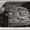 Durham, North Carolina. A truck loaded with baskets of tobacco being taken to a cigarette factory