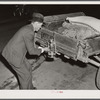 Mr. Elvin Wilkins fastening a new lantern on the back of his trailer in which he brought his tobacco to the warehouse for auction sale. He is returning home with a bag of hog feed in the trailer. Durham, North Carolina