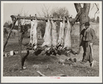 Hog killing on Milton Puryeur place. He is a Negro owner of five acres of land. Rural Route No. 1, Box 59, Dennison, Halifax County, Virginia. This is six miles south (on Highway No. 501) of South Boston. He used to grow tobacco and cotton but now just a