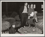 Farmer and his family waiting for their tobacco to be sold at auction in warehouse. Durham, North Carolina