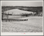 Farm near Warrenton, Virginia