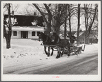 R.W. Cassidy, farmer in Putney, Vermont, hauling manure with his sled and team. He owns about two hundred acres, has lived here about seventeen years. Putney, Vermont