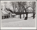 R.W. Cassidy farmer, Putney, Vermont, hauling manure with his sled and team. He owns about two hundred acres, has lived here about seventeen years