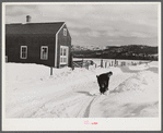 Farmer's son shoveling snow out of driveway near Putney, Vermont