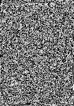1980 April 13