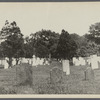 View of Northend Burying Ground. Between road to North Sea and Windmill Lane. Southampton, Southampton