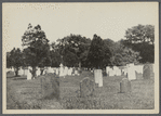 View of Northend Burying Ground. Between road to North Sea and Windmill Lane. Southampton, Southampton