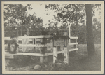 Grave of Rev. Paul Cuffee. West of Canoe Place Inn. Hampton Bays,  Southampton