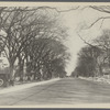 View of Main Street. Looking north to Newtons Lane from Col. Abraham Gardiner house. George H. Hand house on extreme right. East Hampton, East Hampton