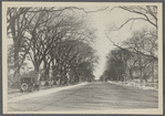 View of Main Street. Looking north to Newtons Lane from Col. Abraham Gardiner house. George H. Hand house on extreme right. East Hampton, East Hampton