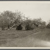 View on Geo. Nichol's place. North side Montauk Highway, on western boundary of Bellport. Bellport, Brookhaven