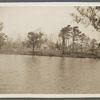 View of Rose house, pond in foreground. North side of pond, just west of Hallock's P.O. and north of Montauk Highway. Moriches, Brookhaven