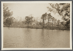 View of Rose house, pond in foreground. North side of pond, just west of Hallock's P.O. and north of Montauk Highway. Moriches, Brookhaven