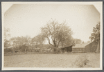 Farm. Opp. N. Edwards house (1873), on south side of road. Center Moriches, Brookhaven