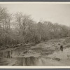 View of Beaverdam River. Looking north from Beaverdam Road. Brookhaven, Brookhaven