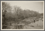 View of Beaverdam River. Looking north from Beaverdam Road. Brookhaven, Brookhaven