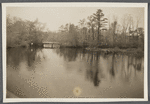 View of Mill Pond and bridge. South Haven, Brookhaven