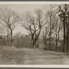View of South side Mill Street. North of junction with road to West Yaphank., opp. Willow Lake. Milling Company (1873). Yaphank, Brookhaven