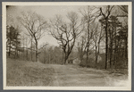 View of South side Mill Street. North of junction with road to West Yaphank., opp. Willow Lake. Milling Company (1873). Yaphank, Brookhaven