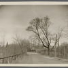 View of Mill Street at Willow Lake. Robert Hawkins Gerard house in center, south side opp. lake. Yaphank, Brookhaven