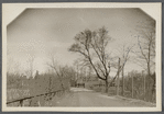 View of Mill Street at Willow Lake. Robert Hawkins Gerard house in center, south side opp. lake. Yaphank, Brookhaven