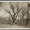 Milling Company (1873). South side Mill Street, north of junction with road to West Yaphank, opp. Willow Lake. Yaphank, Brookhaven