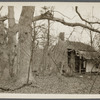 The Witch House. West side road to Middle Island, near village Iine. Standing vacant for at least a half century. Middle Island, Brookhaven