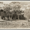 Farmhouse. West side of Georgica Road. J. Homan (1891). East Hampton, East Hampton