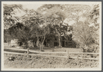 Farmhouse. West side of Georgica Road. J. Homan (1891). East Hampton, East Hampton