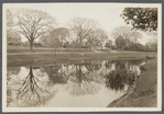 View of west side Main Street, showing the Maidstone Arms Hotel, formerly Osborne House. South end opp. cemetery, pond in foreground. East Hampton, East Hampton