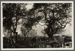 Mrs. Brown house. North side Amagansett Road, just east of Geo. Bushmill house (1873) (now N? S? Contractor). East Hampton, East Hampton