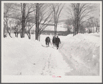 Returning with the horses to the barn after they have hauled the frozen truck up to the gas station on road. Upwey farm, Woodstock, Vermont